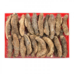 G15 Alaska Sea Cucumber